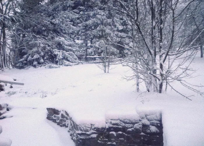 Semesterbostad Forestside Comfort & Charm